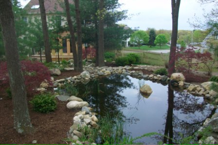 pond